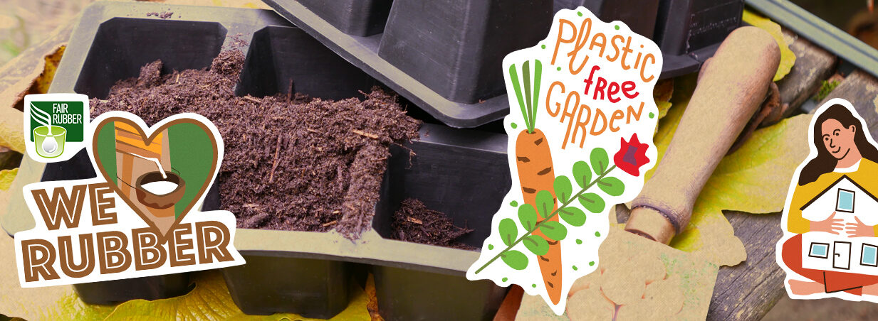 Seed Tray