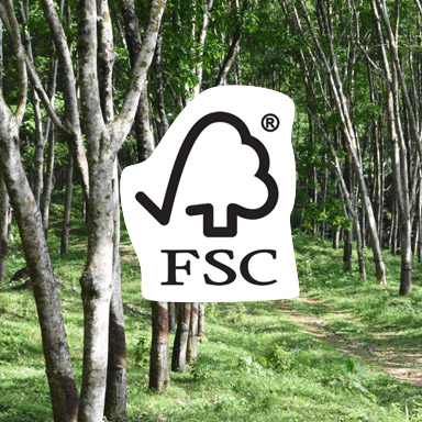 FSC-Logo